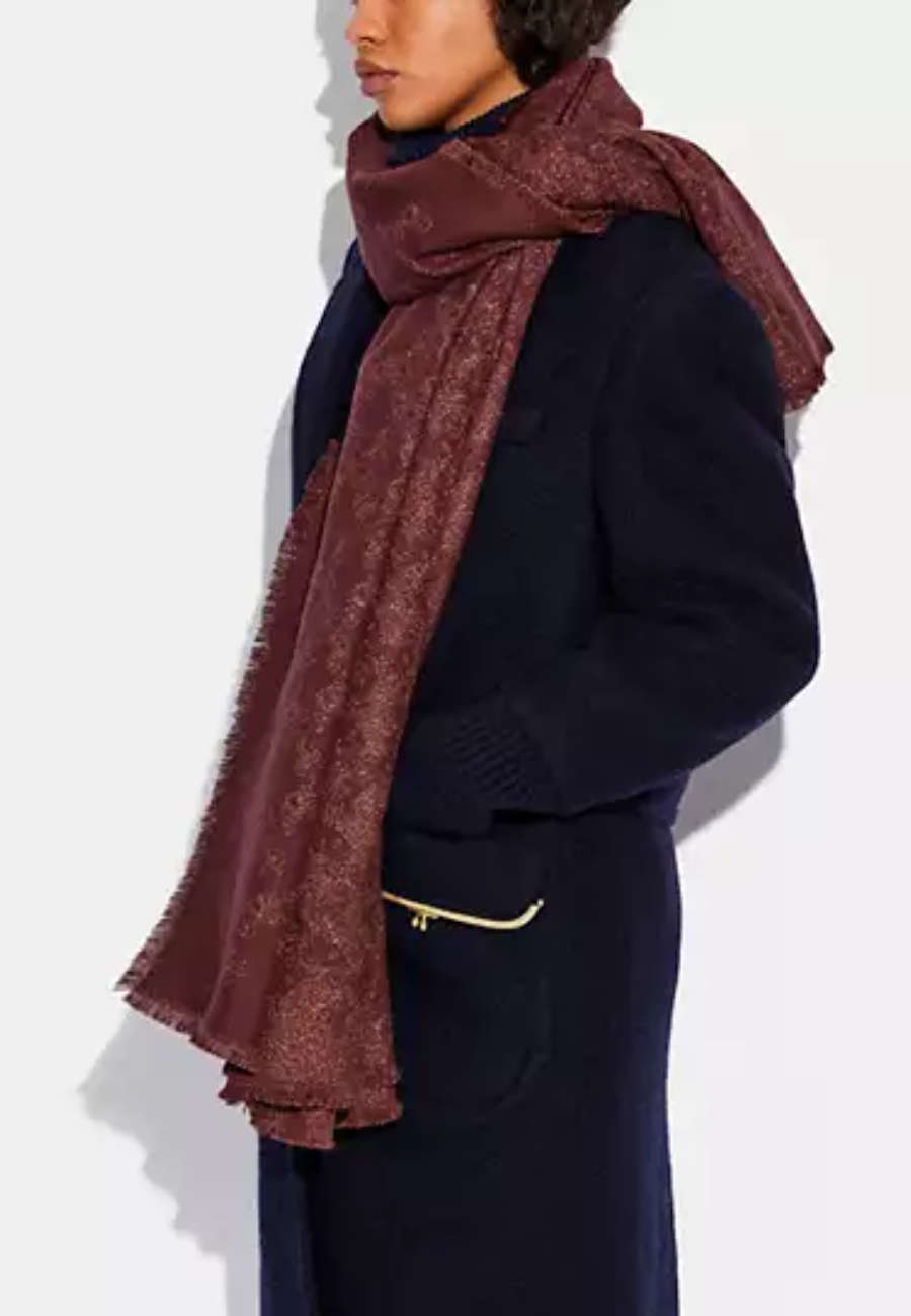 COACH Horse And Carriage Print Shawl